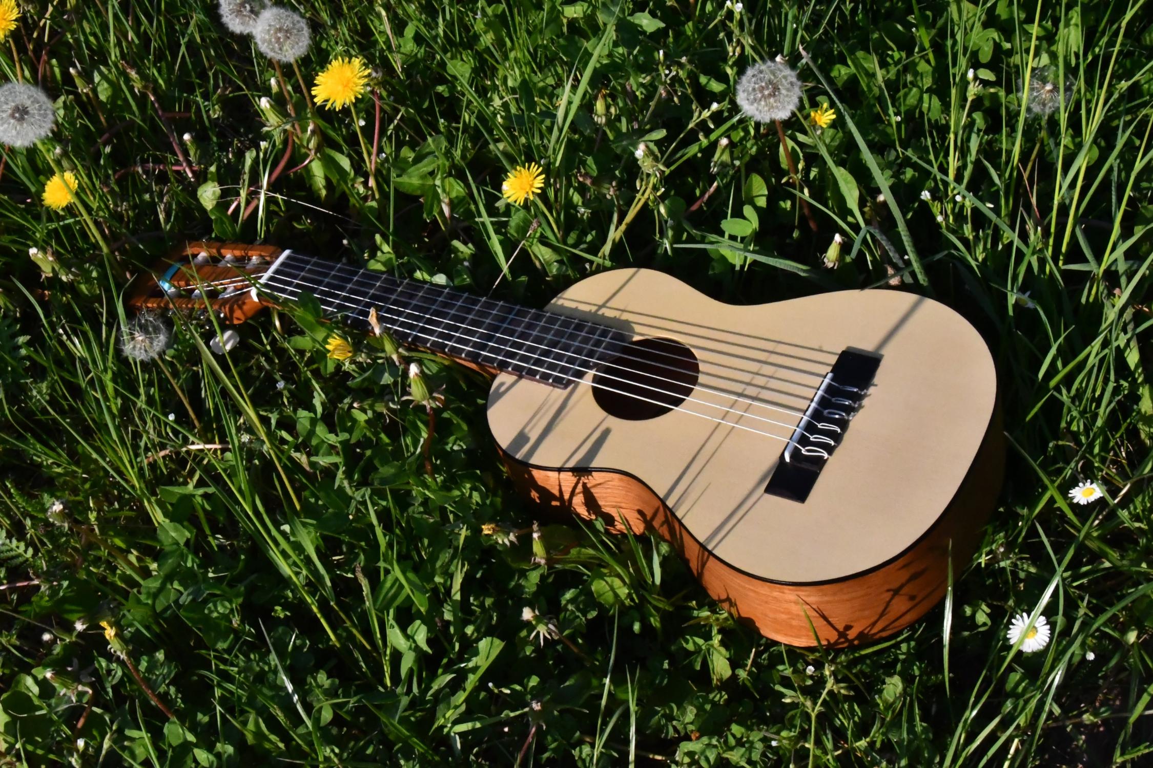 Gitarre
