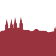 Logo Diözesanrat