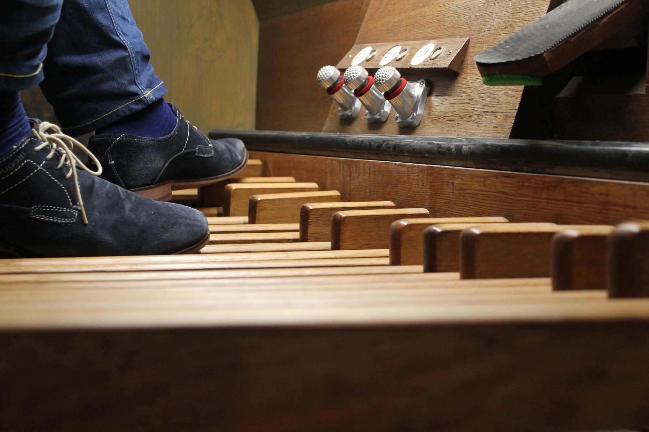 Orgel